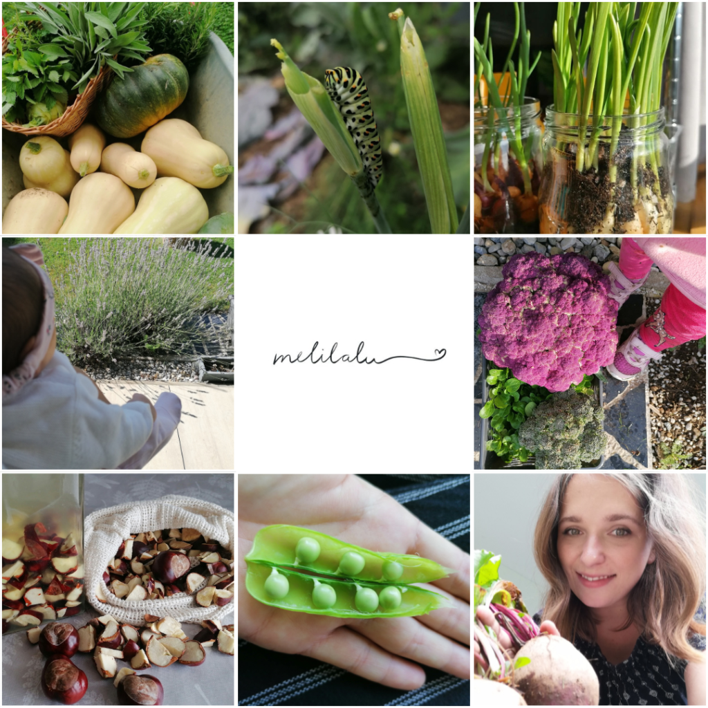 Zurück zu den&nbsp;Wurzeln