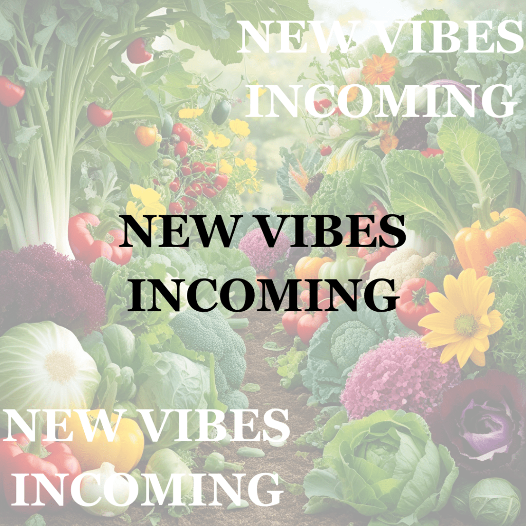 New Vibes Incoming!